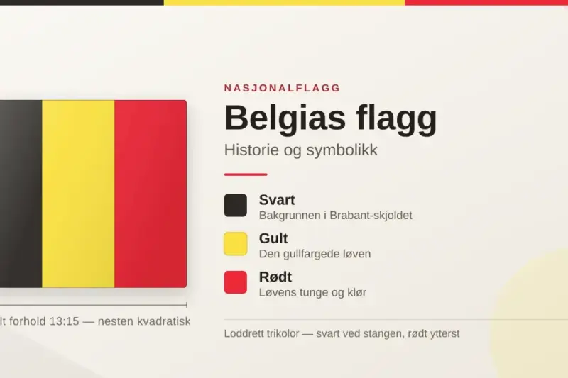 Belgias flagg: historie og symbolikk (svart, gult, rødt)